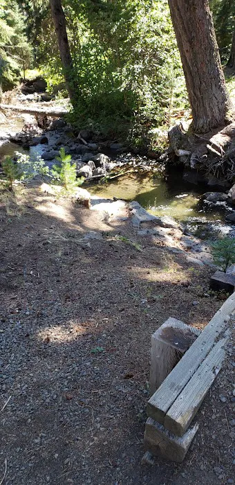 Island Campground Picture 6