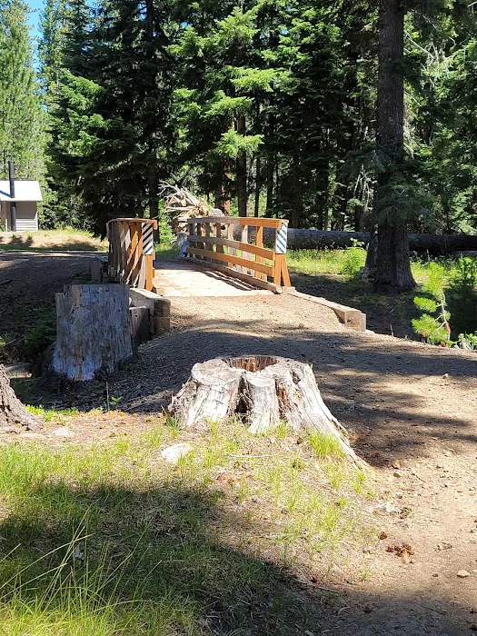 Island Campground Picture 9