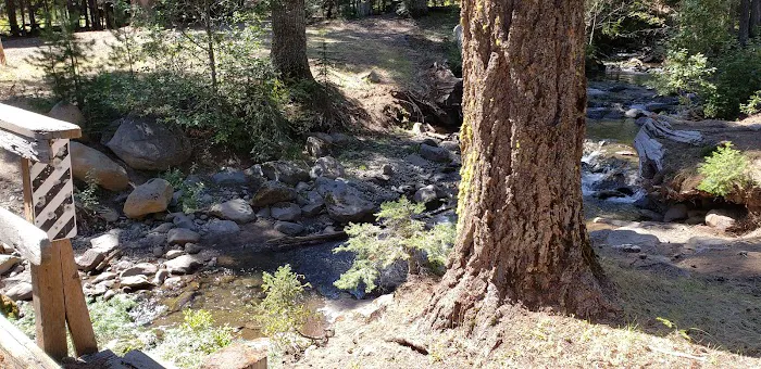 Island Campground Picture 7