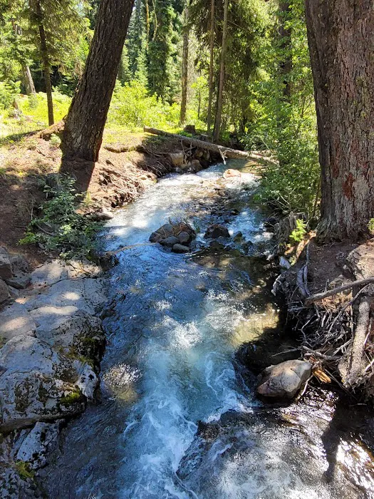 Island Campground Picture 5