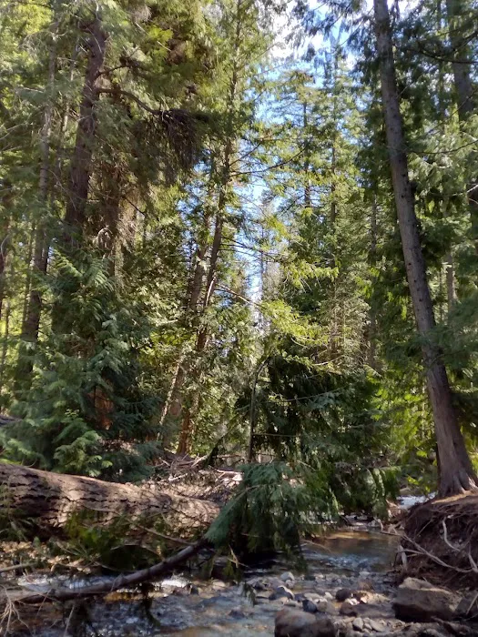 Bird Creek Campground Picture 5