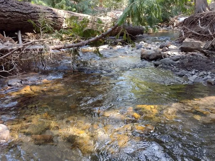 Bird Creek Campground Picture 7
