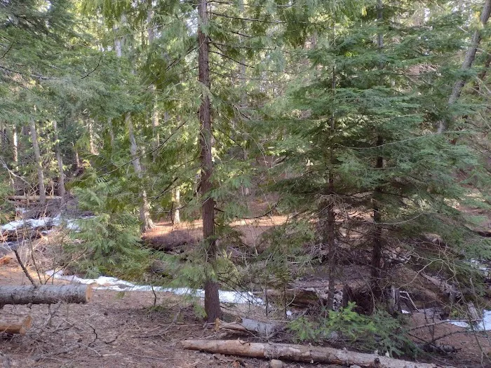 Bird Creek Campground Picture 6