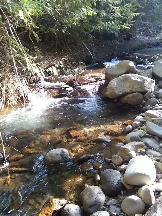 Bird Creek Campground Picture 10