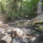 Stout Campground