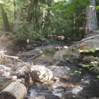Stout Campground ico