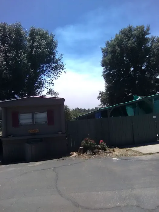 Bixby Knolls Mobile Home Park Picture 2