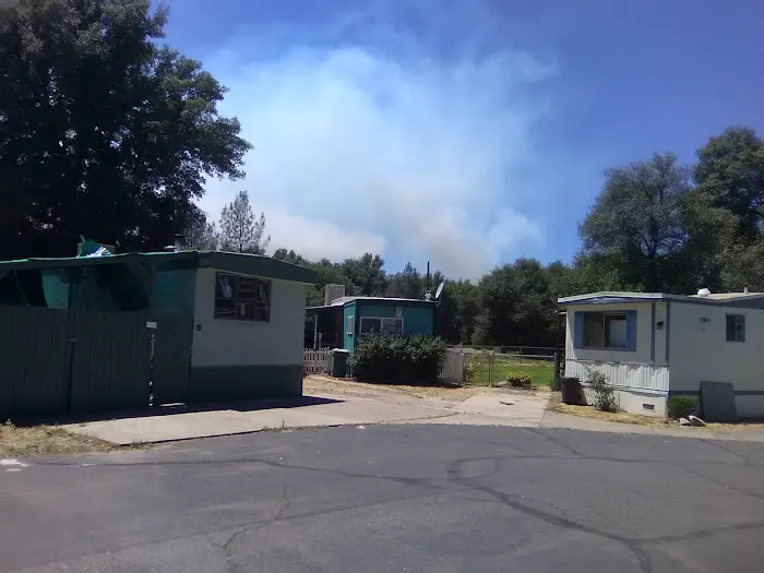 Bixby Knolls Mobile Home Park Picture 4
