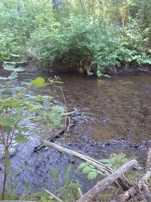 Blue Jay Campground Picture 4