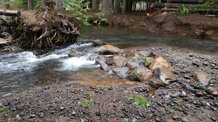 Blue Jay Campground Picture 9