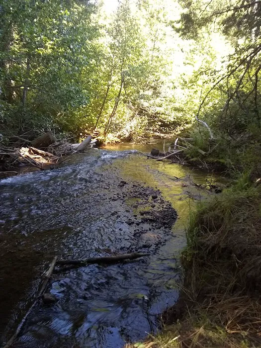 Blue Jay Campground Picture 6