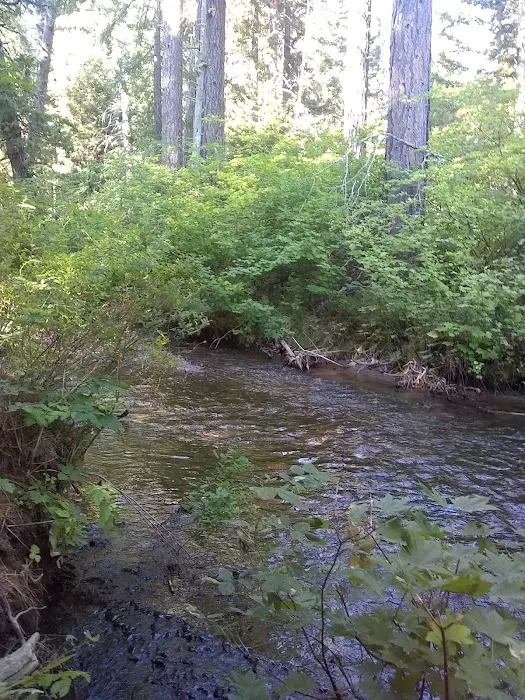 Blue Jay Campground Picture 5