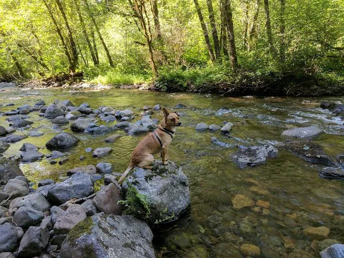 Rock Creek Campground Picture 1