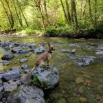 Rock Creek Campground