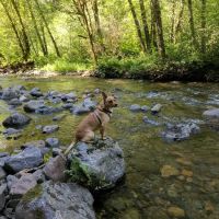 Rock Creek Campground ico