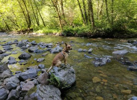 Rock Creek Campground
