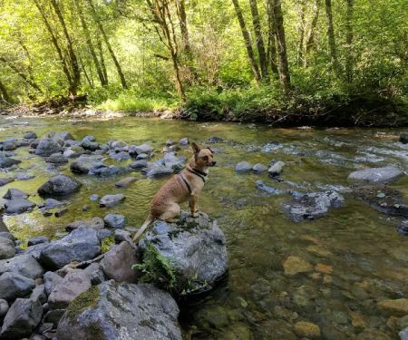 Rock Creek Campground