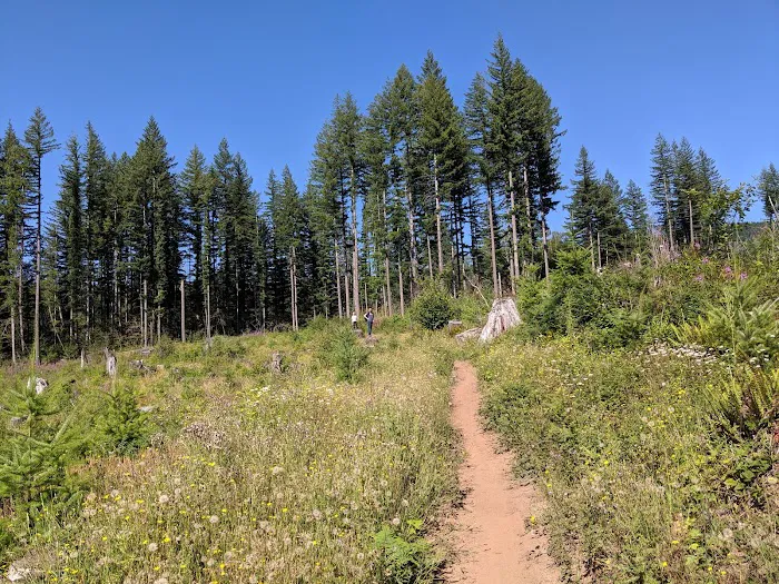Rock Creek Campground Picture 2