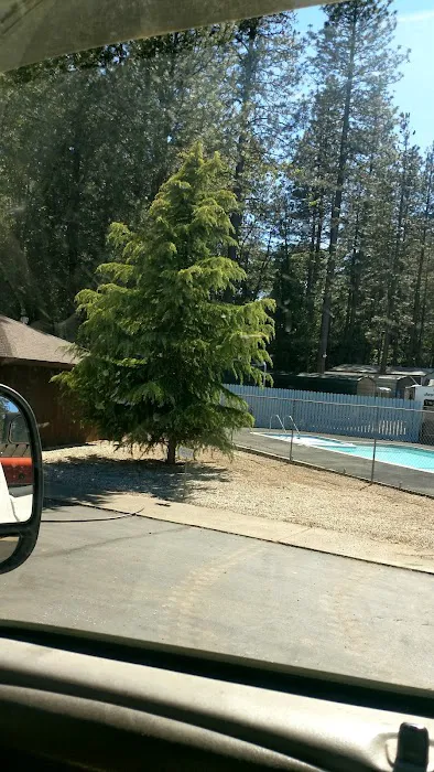 Sierra Pines Mobile Park Picture 5
