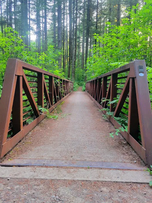 Cold Creek Campground Picture 5
