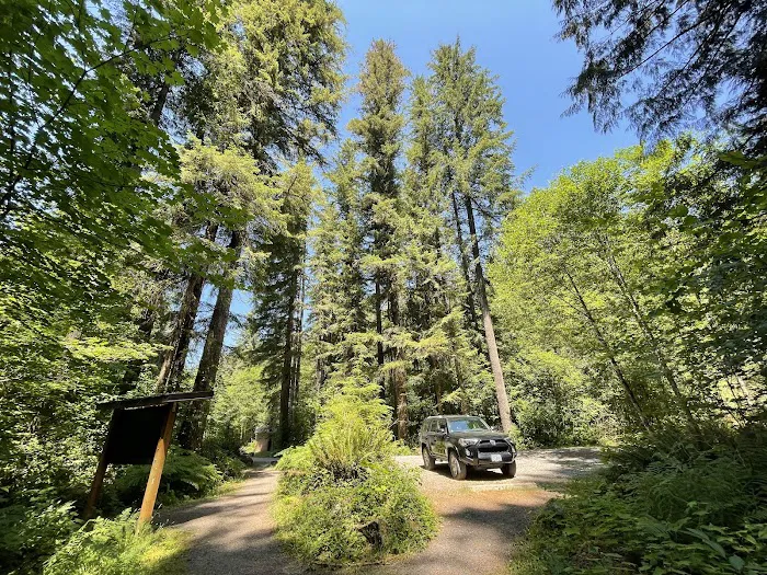 Cold Creek Campground Picture 7