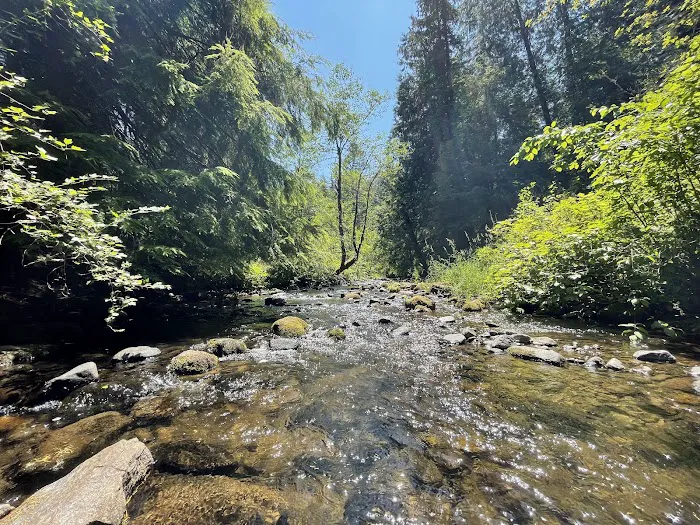 Cold Creek Campground Picture 6