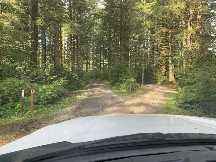 Cold Creek Campground Picture 2