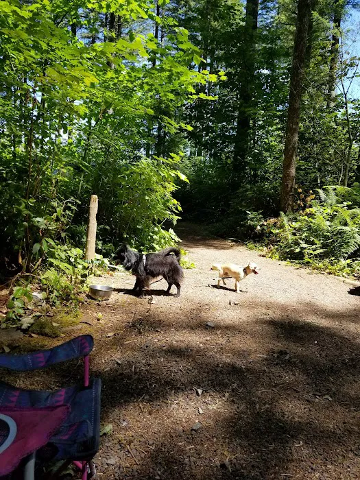Cold Creek Campground Picture 10