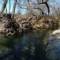 Creekside Village ico
