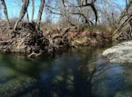 Creekside Village