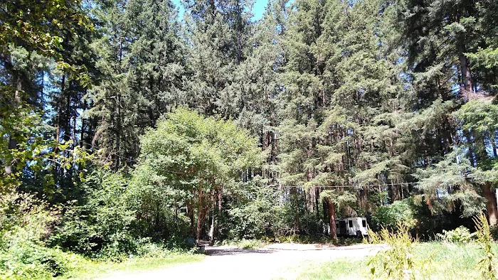 Big Fir Campground & RV Park Picture 10