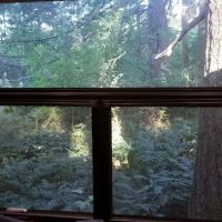 Big Fir Campground & RV Park ico