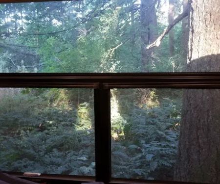Big Fir Campground & RV Park