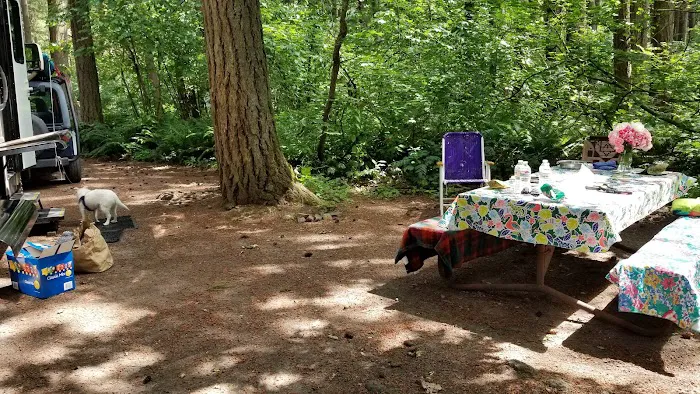 Big Fir Campground & RV Park Picture 2