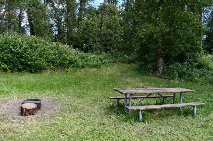 St. Helens - Sand Island Camp Ground Picture 6