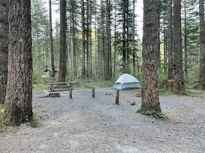 Dougan Creek Campground Picture 8