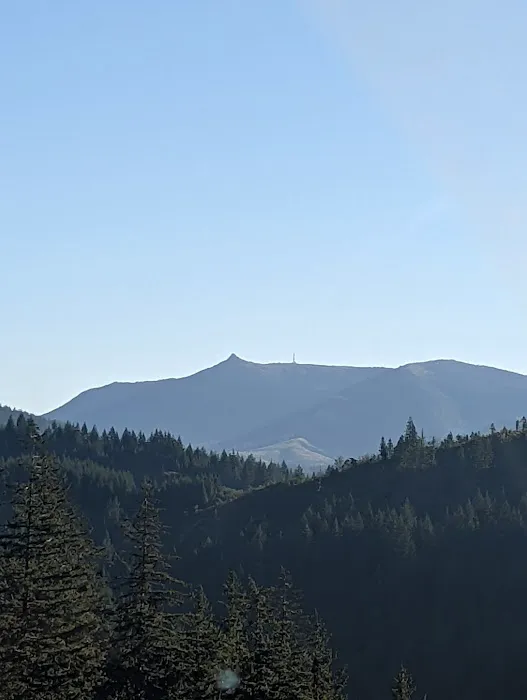 Dougan Creek Campground Picture 5