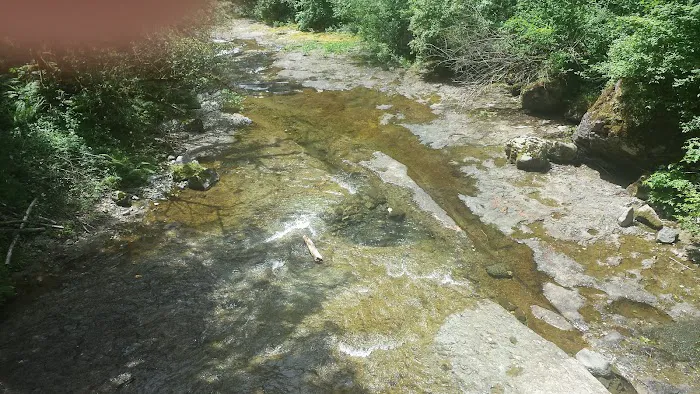 Dougan Creek Campground Picture 6