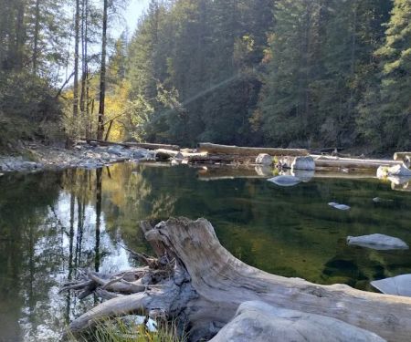 Dougan Creek Campground
