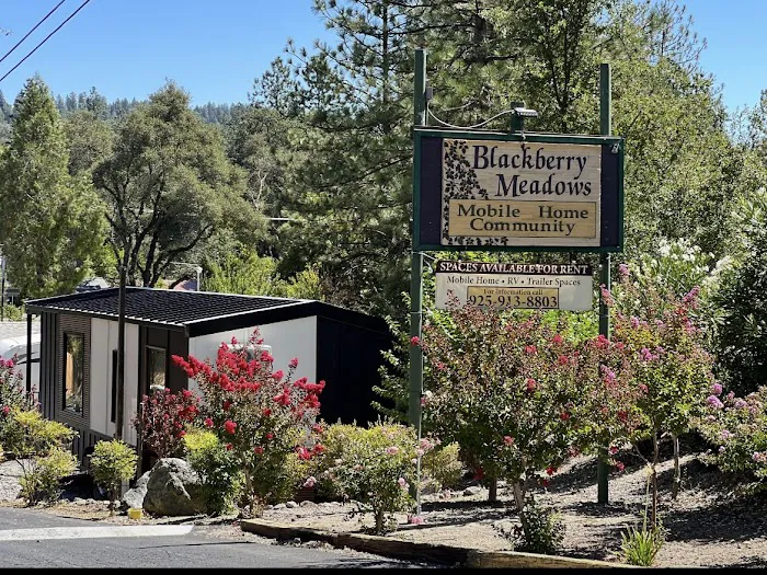 Blackberry Meadows Mobile Home Park Picture 4