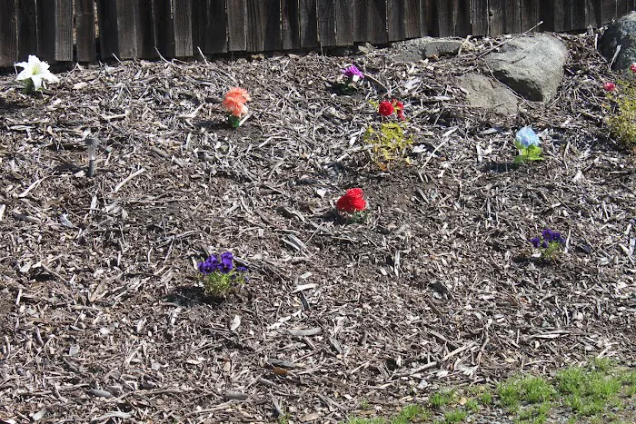 Blackberry Meadows Mobile Home Park Picture 7