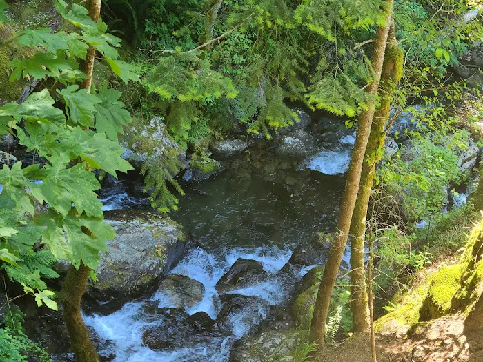 Beacon Rock Campground Picture 8
