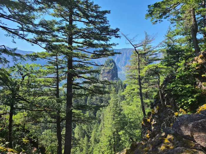 Beacon Rock Campground Picture 9