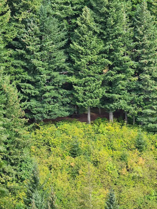 Beacon Rock Campground Picture 6