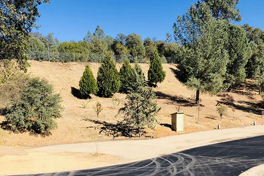EDCF Event Center RV Park Picture 5
