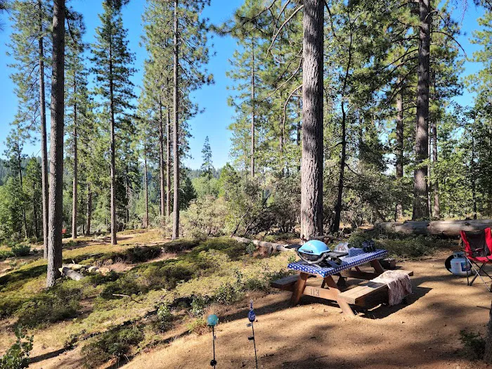Ghost Mountain RV Campground Picture 4