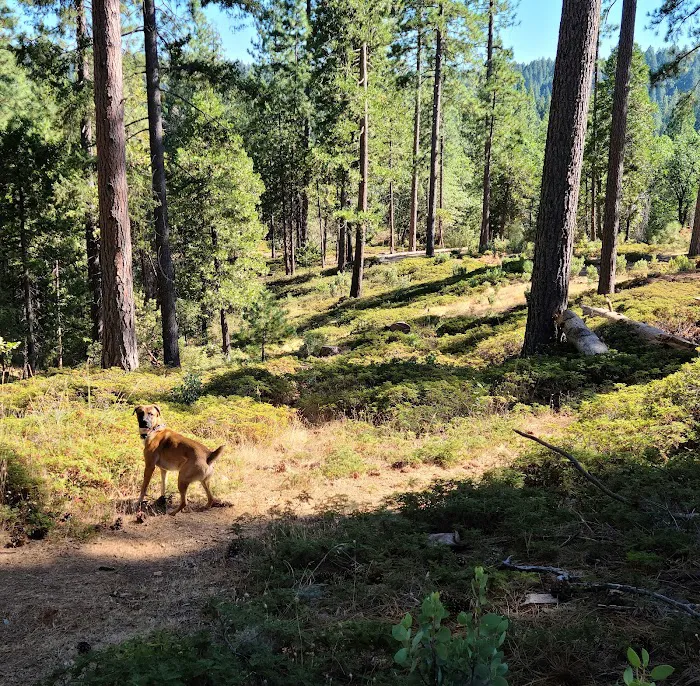 Ghost Mountain RV Campground Picture 6