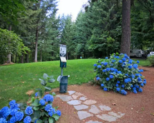 Timberlake Campground & RV Picture 1