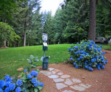 Timberlake Campground & RV