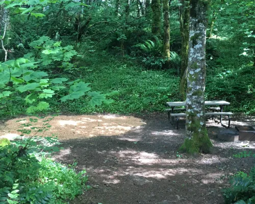 Timberlake Campground & RV Picture 6